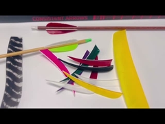 Komponenten der Pfeile